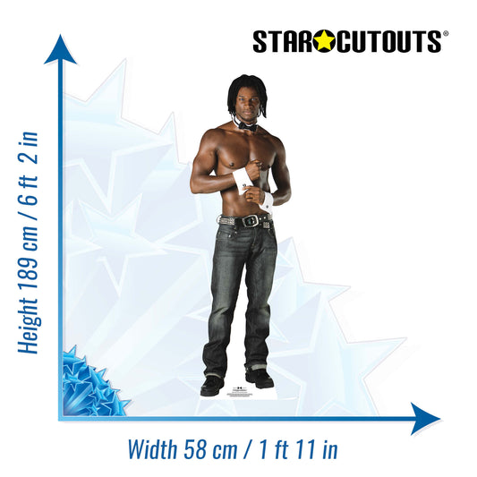 SC503 Chaun Chippendale Cardboard Cut Out Height 189cm - mycardboardcutout