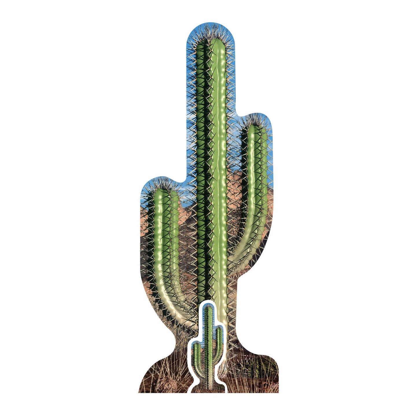 SC583 Cactus Single Cardboard Cut Out Height 183cm - mycardboardcutout