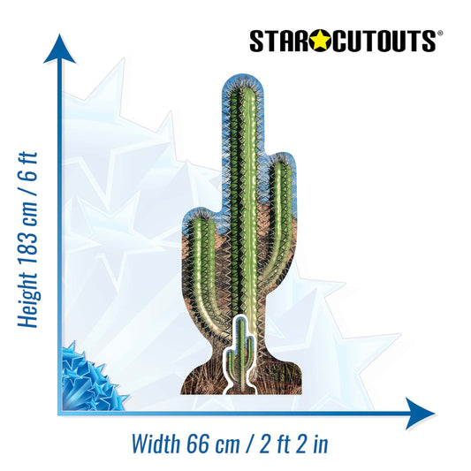 SC583 Cactus Single Cardboard Cut Out Height 183cm - mycardboardcutout