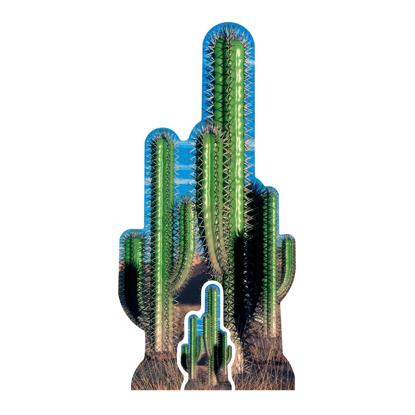 SC584 Cactus Group Cardboard Cut Out Height 152cm - mycardboardcutout