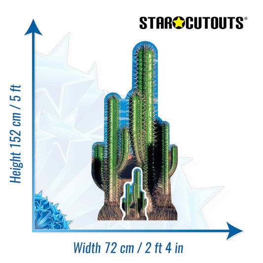 SC584 Cactus Group Cardboard Cut Out Height 152cm - mycardboardcutout