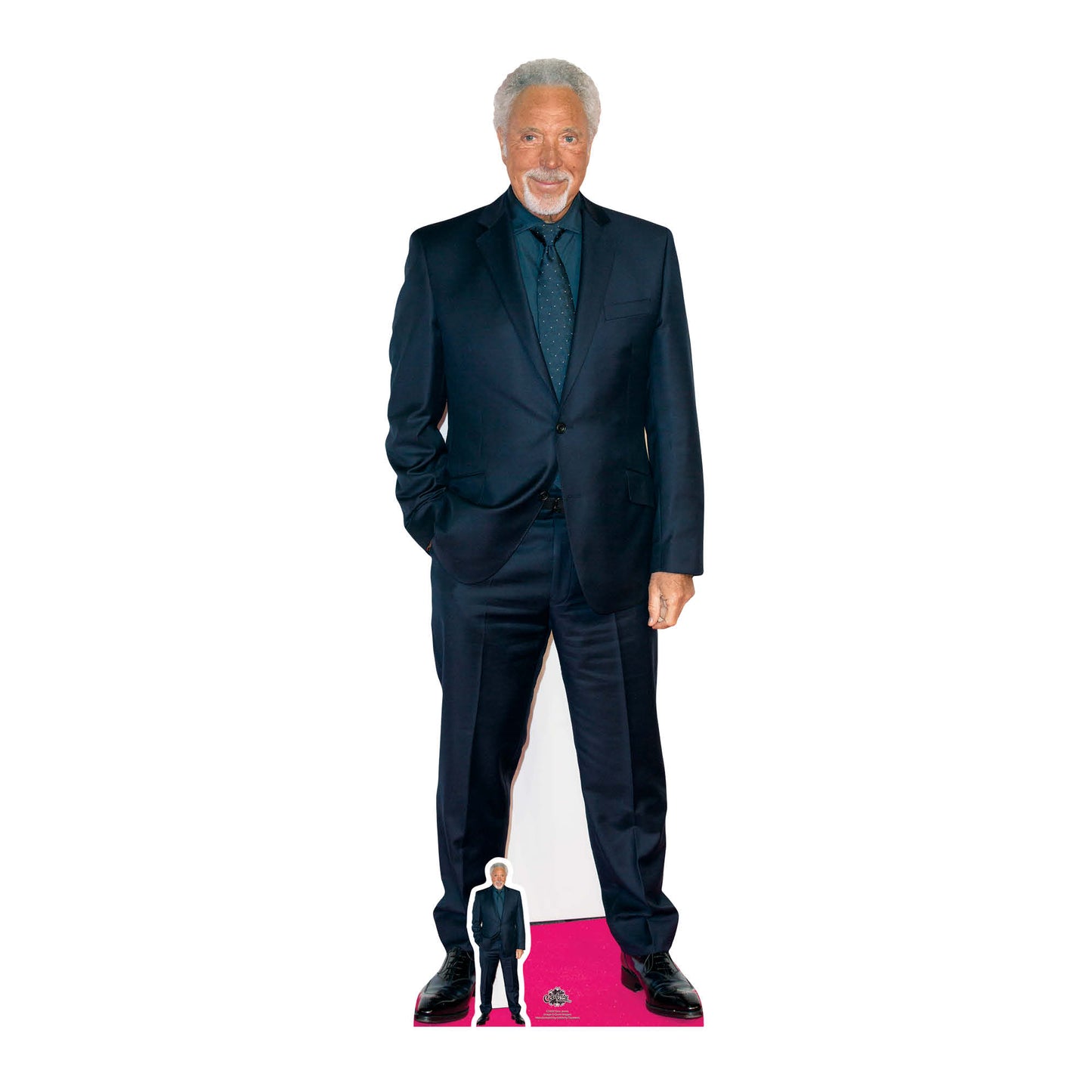 CS689 Tom Jones Red Carpet Height 177cm Lifesize Cardboard Cut Out - mycardboardcutout