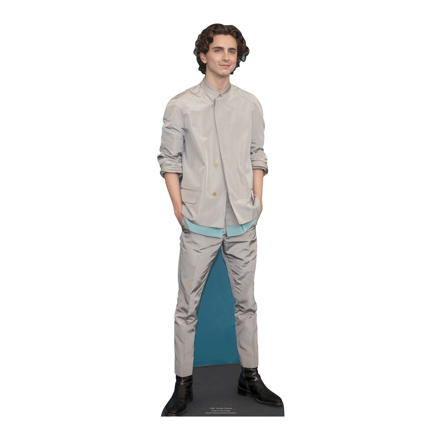CS847 Timothee Hal Chalamet American Actor Star Mini Height 90cm Small Cardboard Cut Out - mycardboardcutout