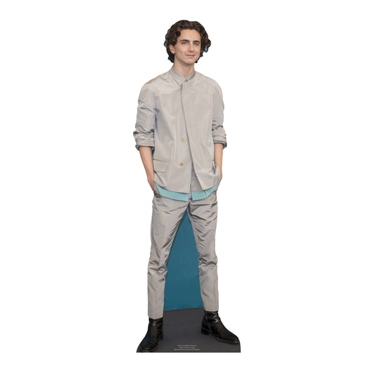 CS847 Timothee Hal Chalamet American Actor Star Mini Height 90cm Small Cardboard Cut Out - mycardboardcutout