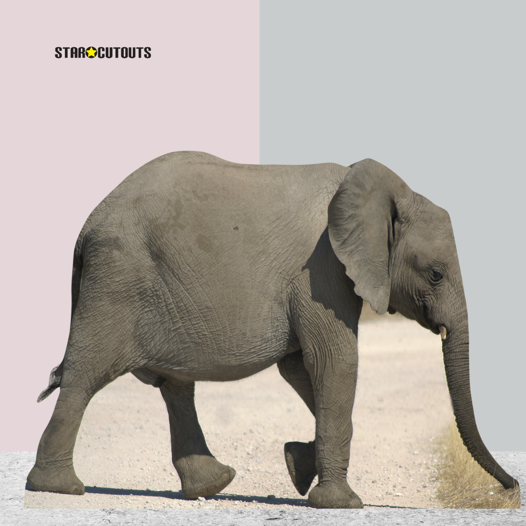 Baby Elephant Jungle Safari Theme Animal Cardboard Cutout - mycardboardcutout