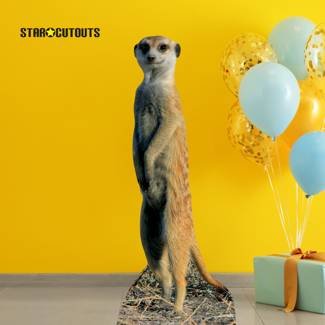 Meerkat Jungle Safari Theme Animal Cardboard Cutout - mycardboardcutout