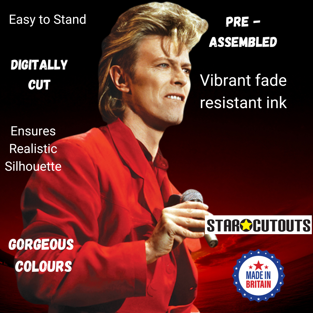 David Bowie Life-size Cardboard Cutout - mycardboardcutout