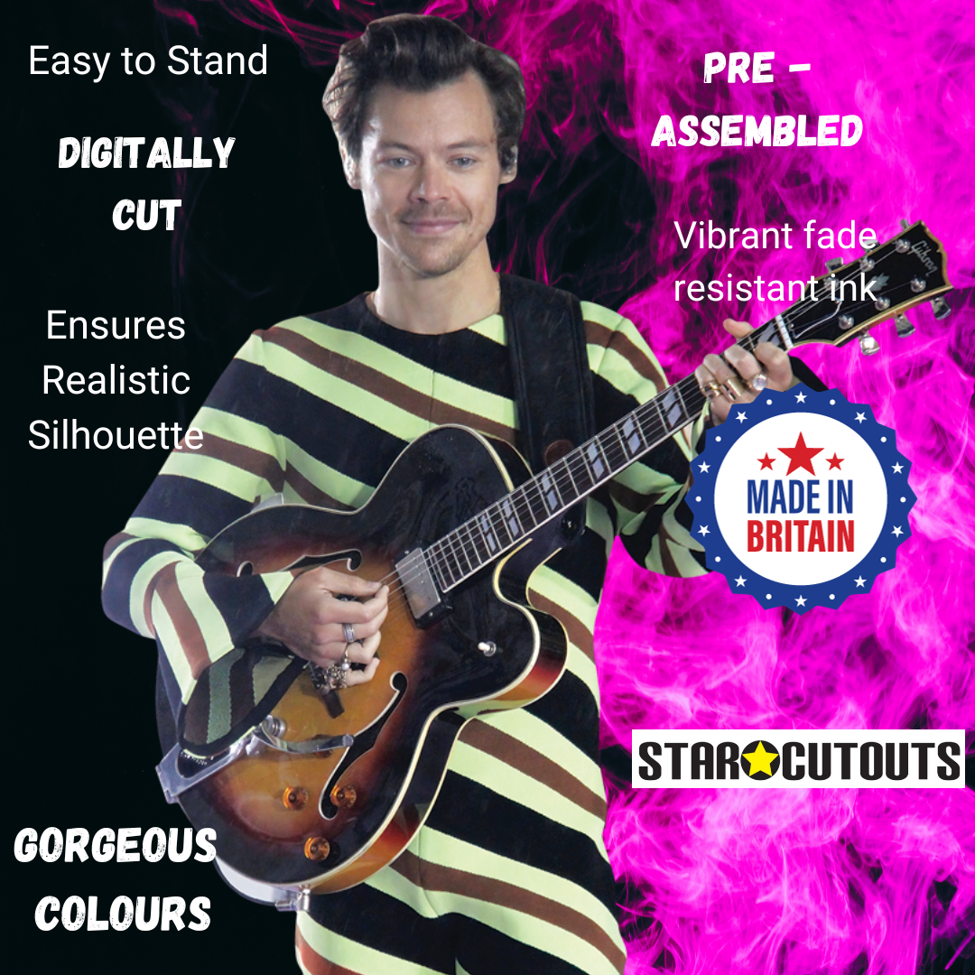 Harry Styles Smile Cardboard Cutout - mycardboardcutout