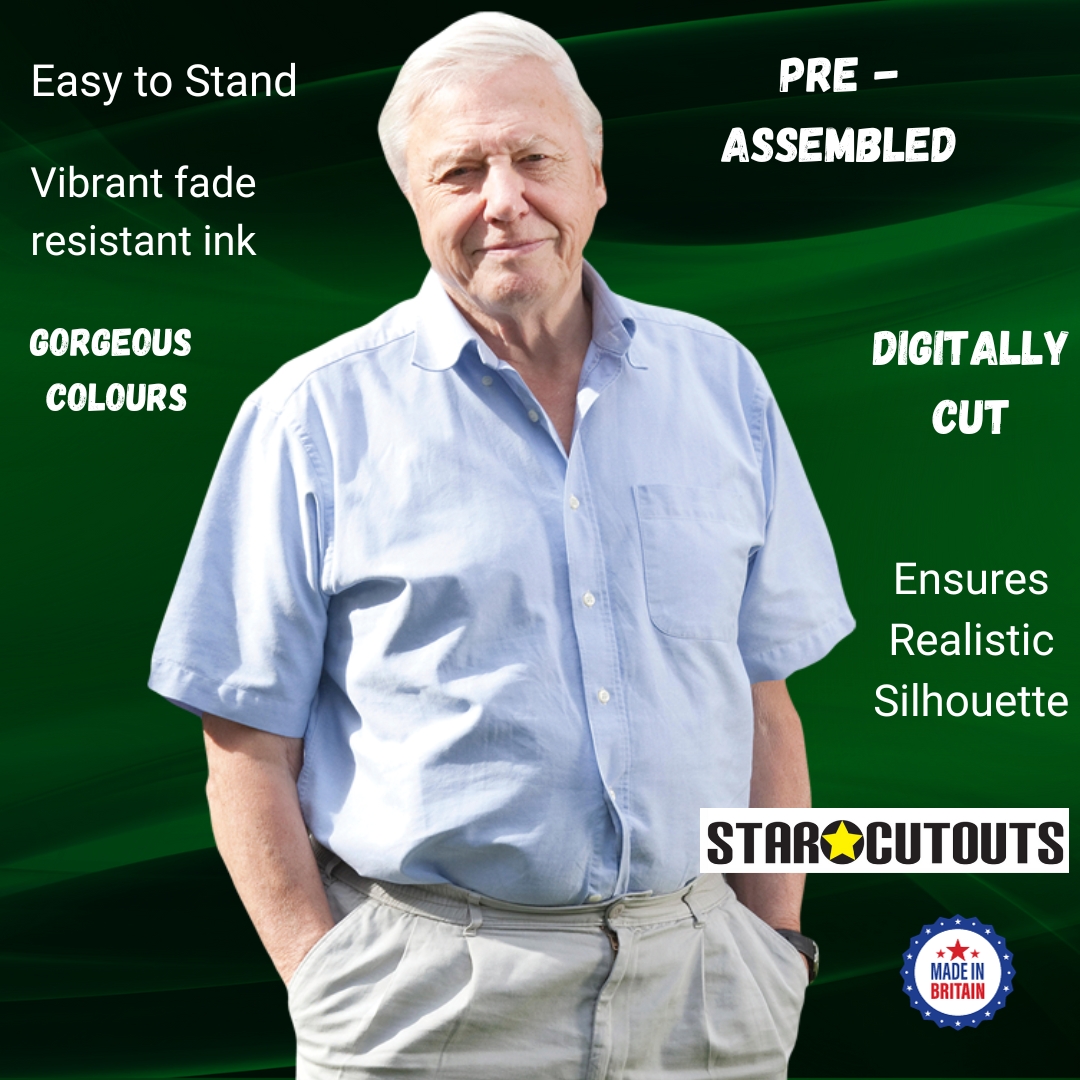 David Attenborough Cardboard Cutout Lifesize - mycardboardcutout