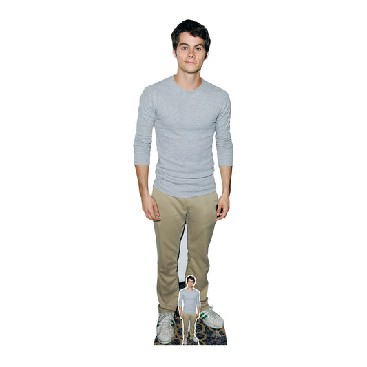 CS884 Dylan O'Brien (Grey Shirt) Height 179cm Lifesize Cardboard Cut Out With Mini - mycardboardcutout