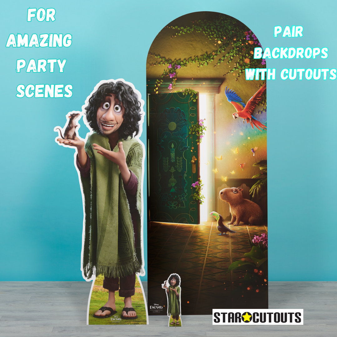 SC4318 Encanto Door Backdrop Single Cardboard Cut Out Height 194cm