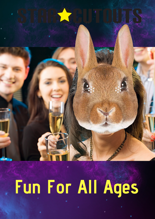 SM397 Rabbit Animal Single Face Mask - mycardboardcutout