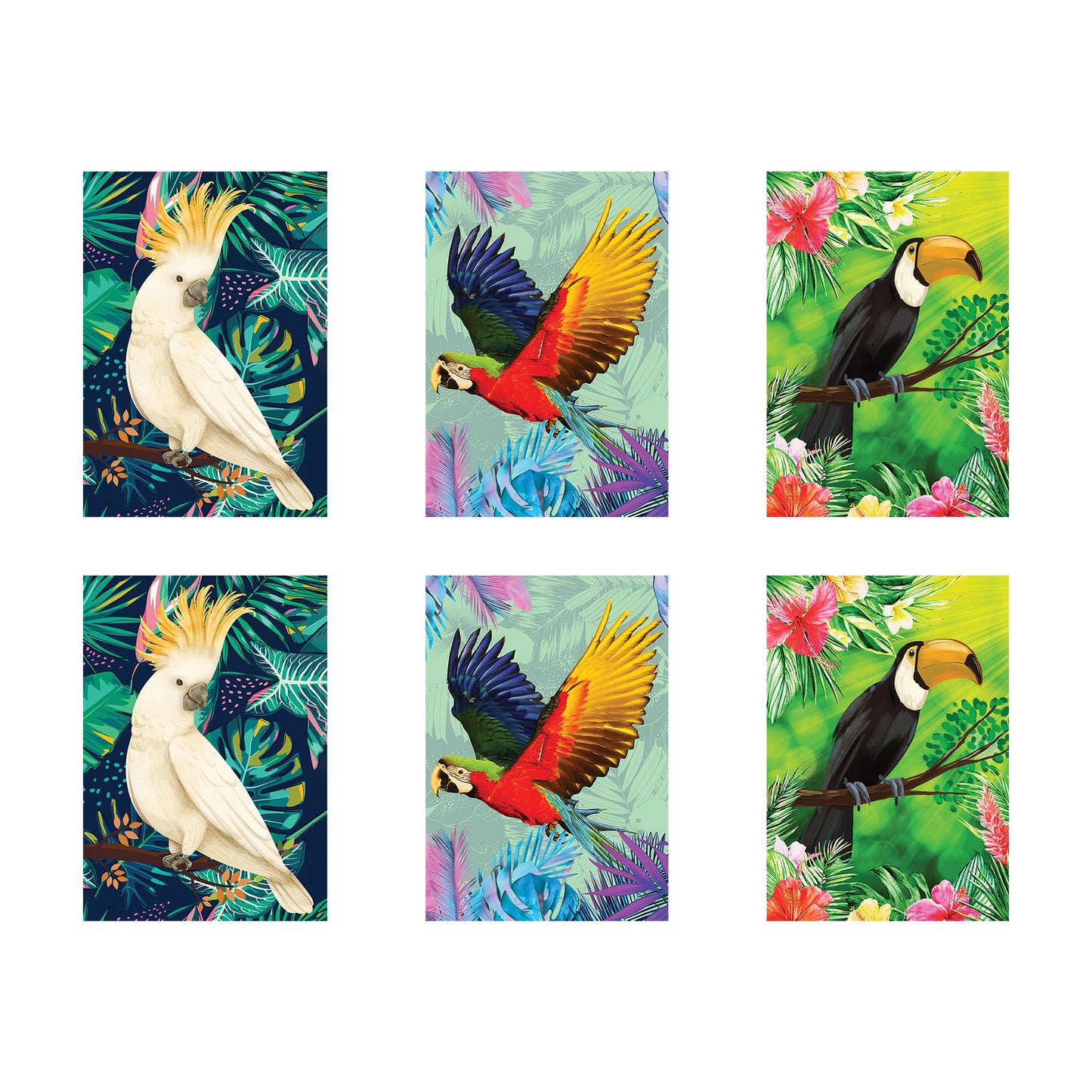 RD085 Tropical Bird 2 x Cockatoo 2 x Parrot 2 x Toucan Six Large Prints Room Decor Pack Cardboard Cut Out Height 44cm