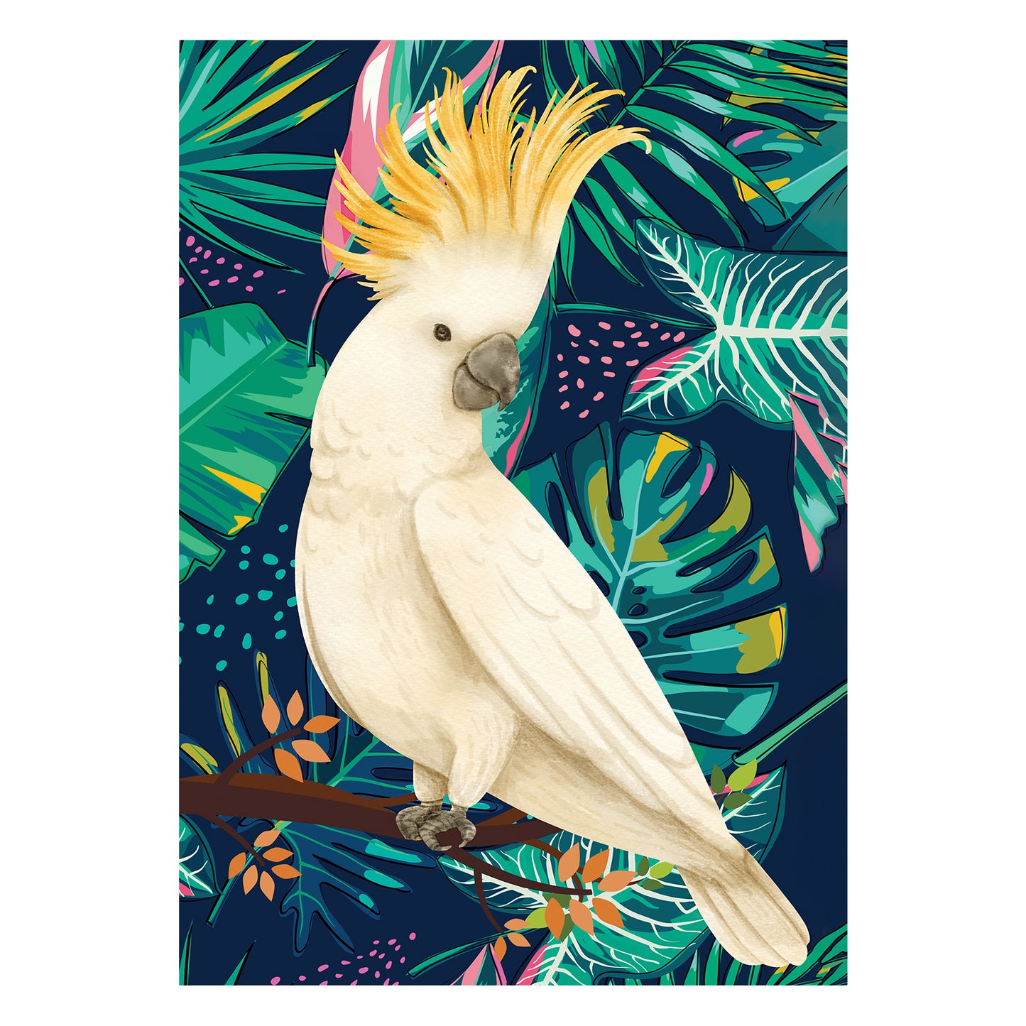 RD085 Tropical Bird 2 x Cockatoo 2 x Parrot 2 x Toucan Six Large Prints Room Decor Pack Cardboard Cut Out Height 44cm