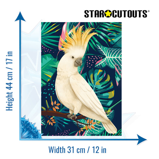 RD085 Tropical Bird  2 x Cockatoo 2 x Parrot 2 x Toucan  Six Large Prints Room Decor Pack Cardboard Cut Out Height 44cm