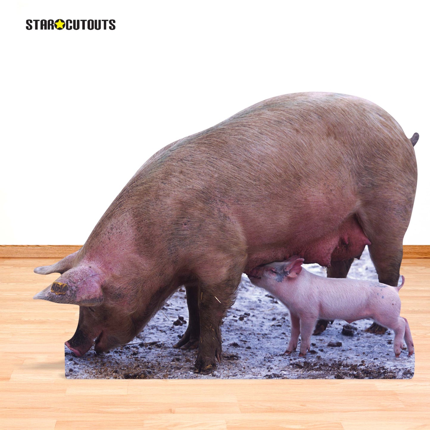 Pig and Piglet British Countryside and Farm Theme Animal Cardboard Cutout - mycardboardcutout