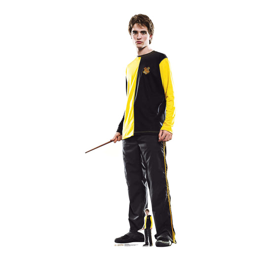 SC4283 Cedric Diggory Harry Potter Cardboard Cutout With Mini - mycardboardcutout
