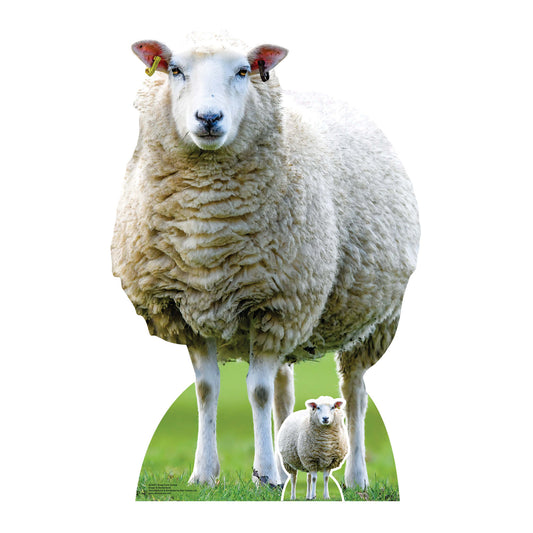 SC4437 Sheep Farm Animal Cardboard Cut Out Height 94cm - mycardboardcutout