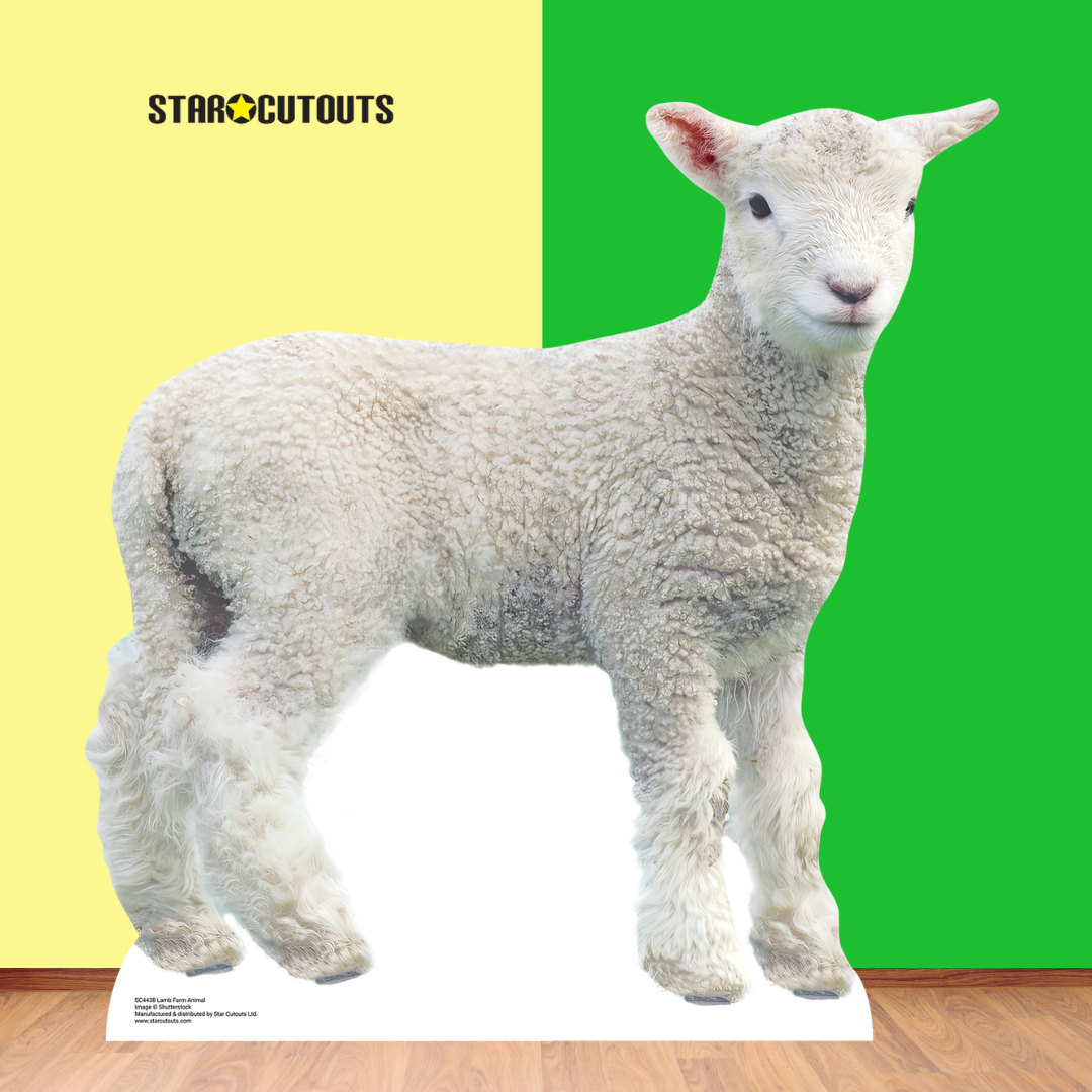 SC4438 Lamb Farm Animal Cardboard Cut Out Height 74cm - mycardboardcutout