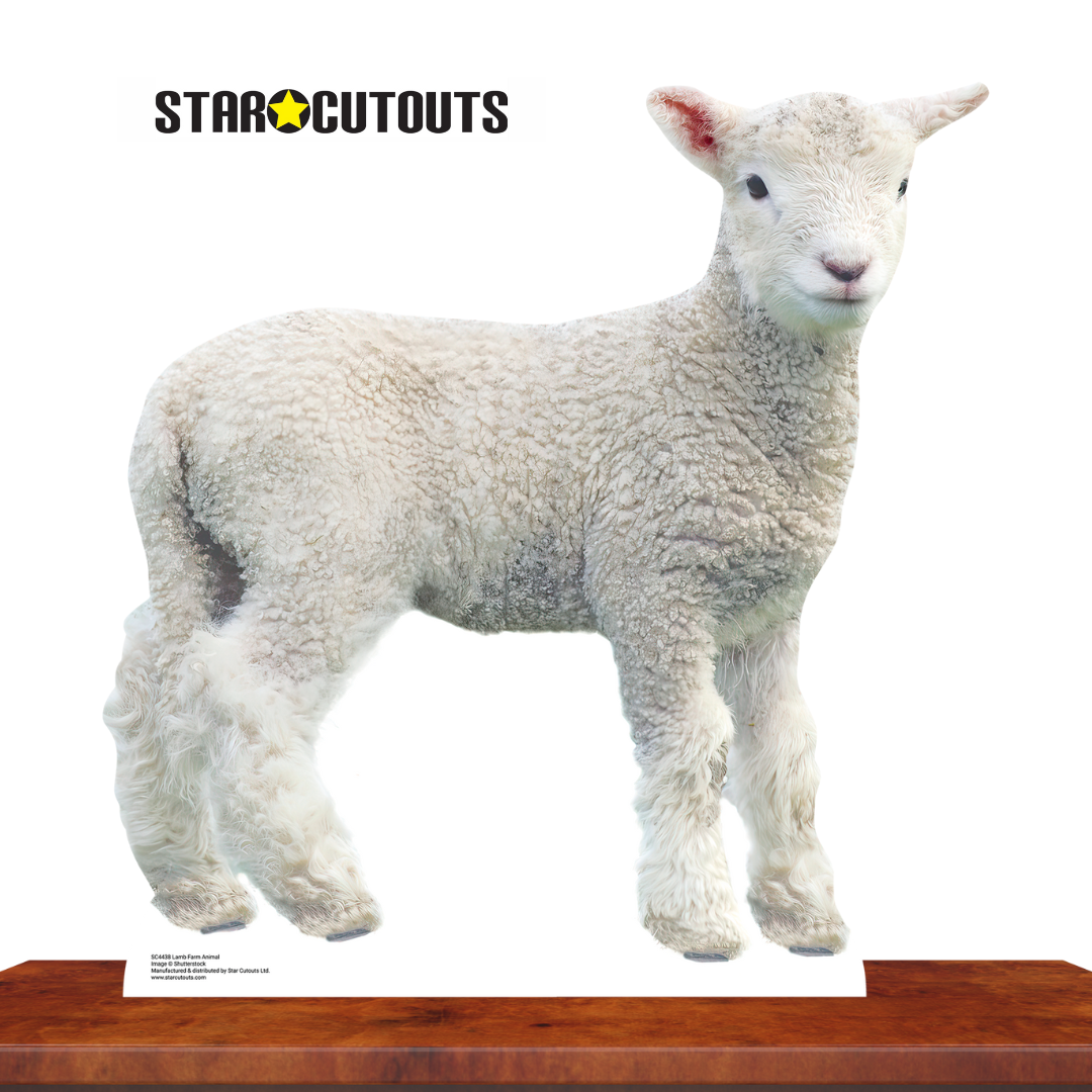 SC4438 Lamb Farm Animal Cardboard Cut Out Height 74cm - mycardboardcutout