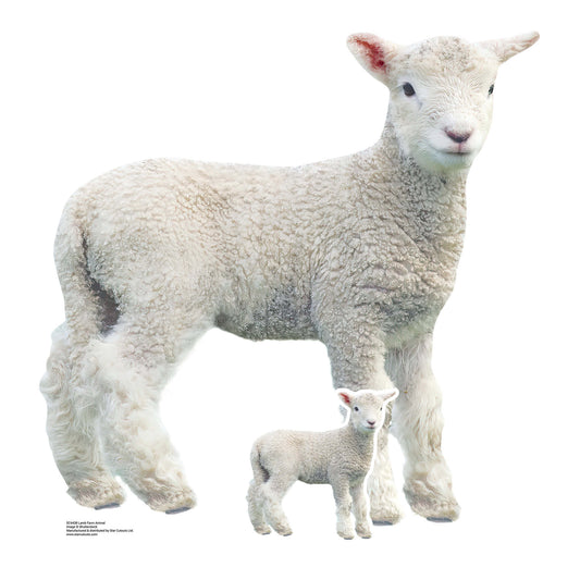SC4438 Lamb Farm Animal Cardboard Cut Out Height 74cm - mycardboardcutout