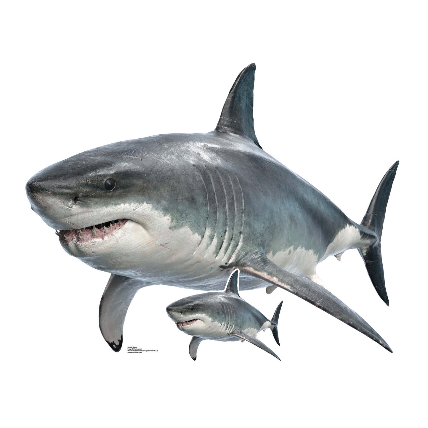 SC4442 Shark Real Height 94cm Width 120cm - mycardboardcutout