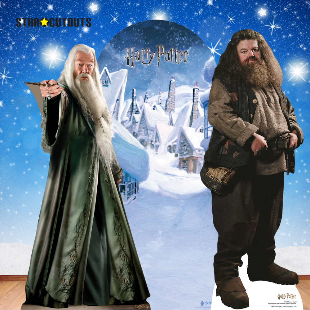SC4520 Hogsmeade Village Backdrop Single - FSC Cardboard Cut Out Height 185cm - mycardboardcutout
