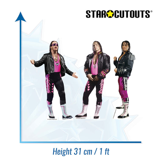 SC4586  WWE Bret Hart Three Shelf Top Cardboard Cut Outs Height 31cm