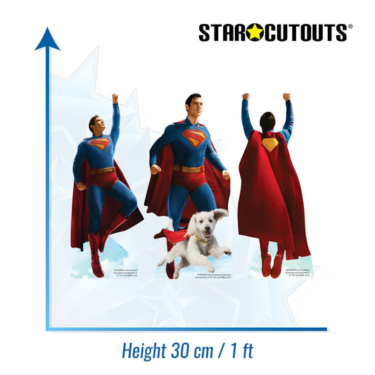 SC4636  Superman Look Up Movie Shelf Top Pack Cardboard Cutouts Height 30cm