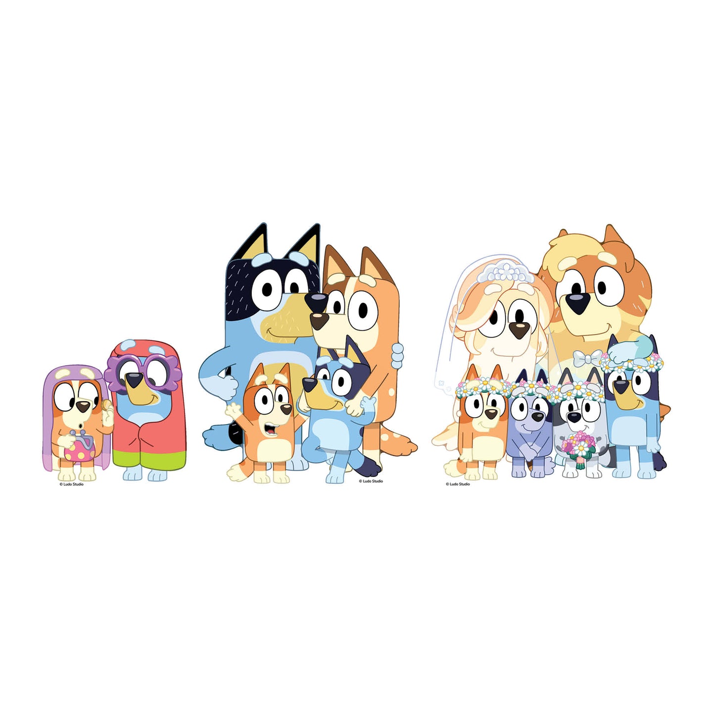 SC4766 Bluey & Bingo, Grannies, Heeler Family & Bluey Family Wedding Shelf Top Pack Cardboard CutoutsHeight 21cm