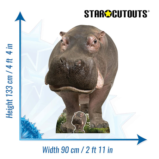 SC4852 Young Hippo Cardboard Cutout Height 133cm