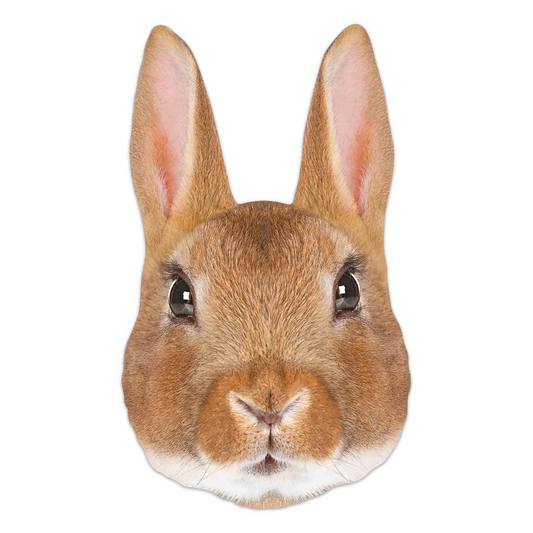 SM397 Rabbit Animal Single Face Mask - mycardboardcutout