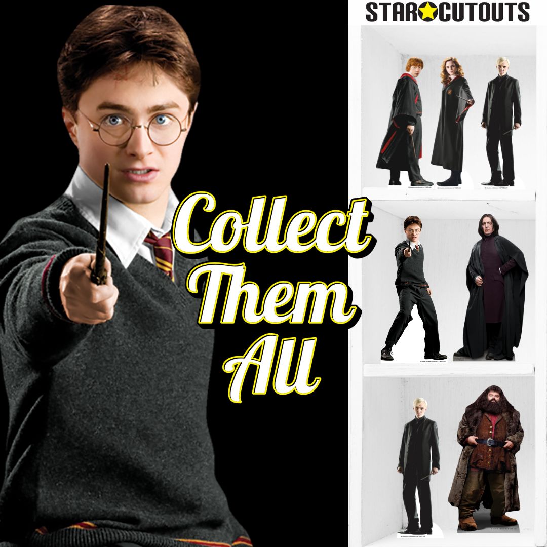 SC4806 Snape and Hagrid Harry Potter Shelf Top Pack Cardboard Cutouts Height 31cm
