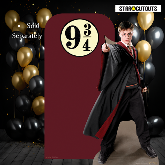Harry Potter Quidditch Captain Cardboard Cutout Lifesize - mycardboardcutout