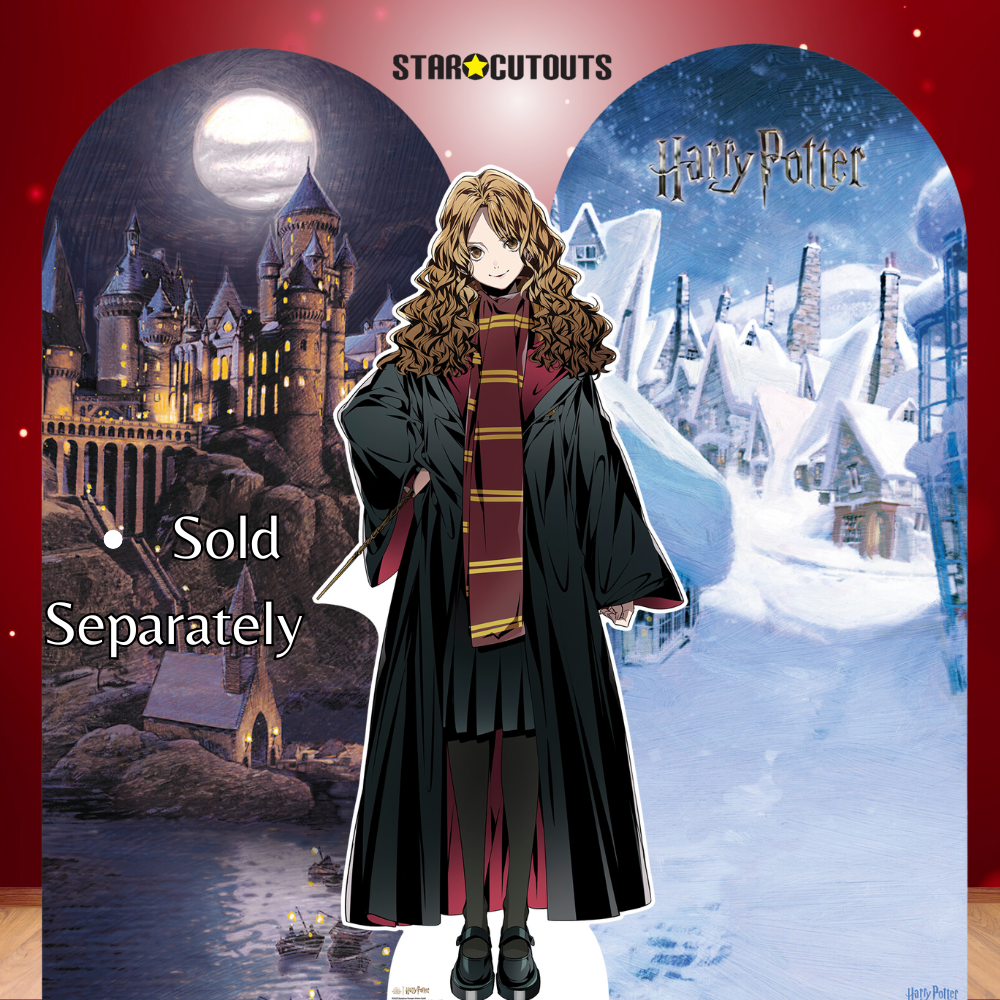 SC4520 Hogsmeade Village Backdrop Single - FSC Cardboard Cut Out Height 185cm - mycardboardcutout