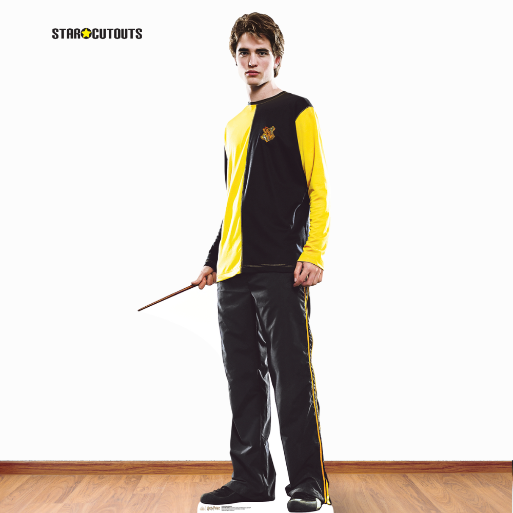 SC4283 Cedric Diggory Harry Potter Cardboard Cutout With Mini - mycardboardcutout