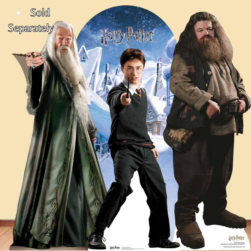 Hagrid Cardboard Cutout Large - mycardboardcutout