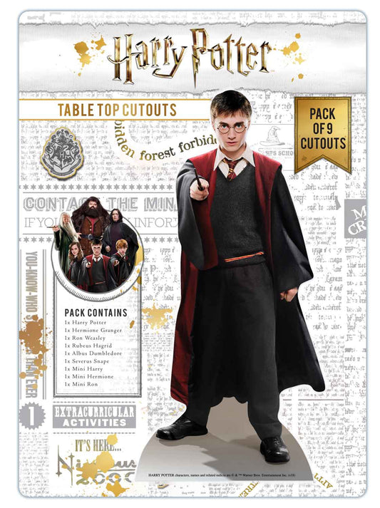 TT008 Wizarding World of Harry Potter Table Toppers Pack - mycardboardcutout