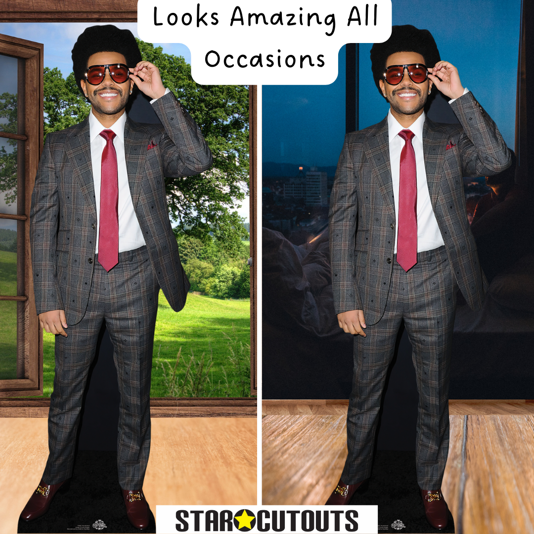 CS987 The Weeknd Height 183cm Lifesize Cardboard Cut Out With Mini - mycardboardcutout