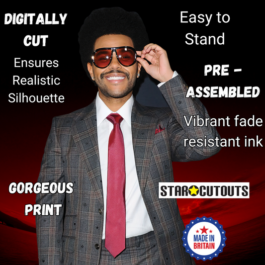 CS987 The Weeknd Height 183cm Lifesize Cardboard Cut Out With Mini - mycardboardcutout