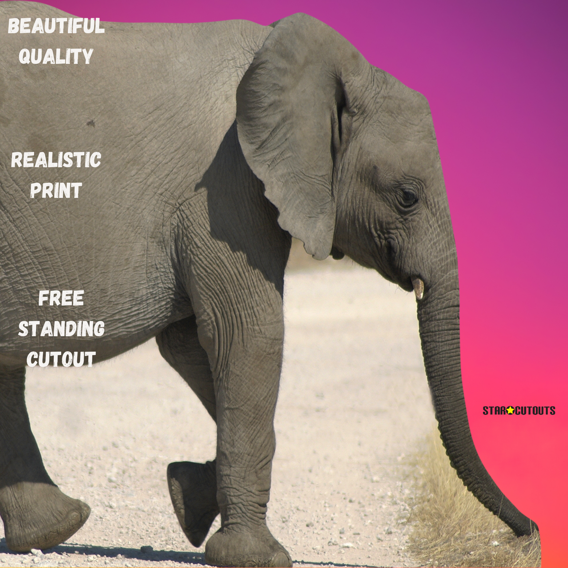 Baby Elephant Jungle Safari Theme Animal Cardboard Cutout - mycardboardcutout