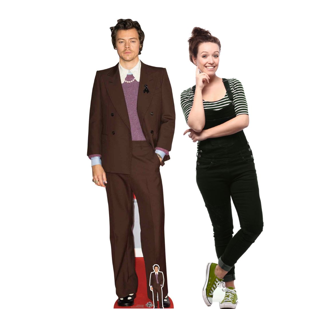 Harry Styles Cardboard Cutout