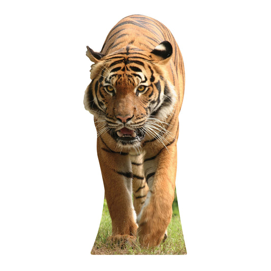 Tiger Jungle Safari Theme Animal Cardboard Cutout - mycardboardcutout