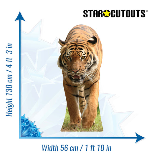 Tiger Jungle Safari Theme Animal Cardboard Cutout - mycardboardcutout