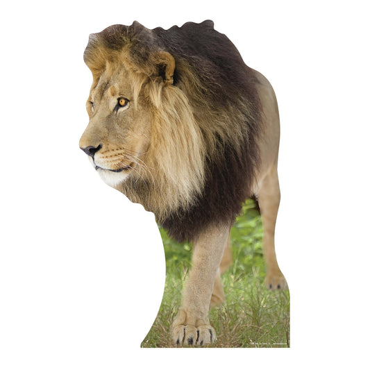 Lion Jungle Safari Theme Animal Cardboard Cutout - mycardboardcutout