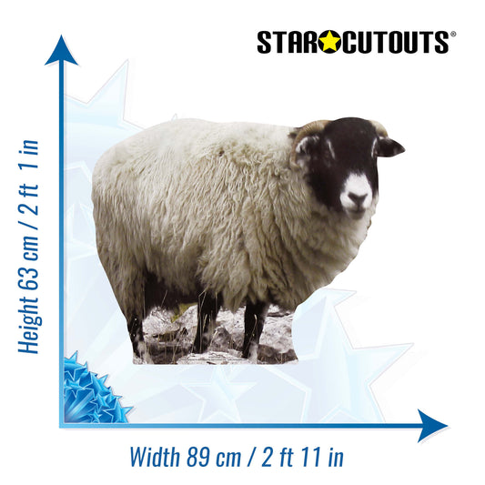 Sheep British Wildlife, Farm and Countryside Theme Animal Cardboard Cutout - mycardboardcutout