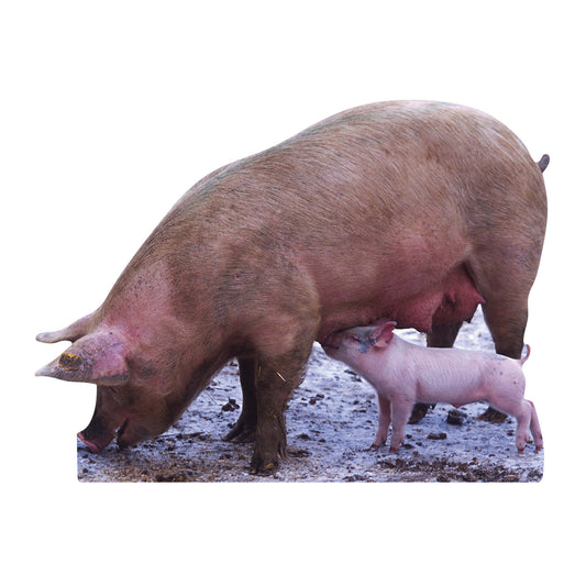 Pig and Piglet British Countryside and Farm Theme Animal Cardboard Cutout - mycardboardcutout