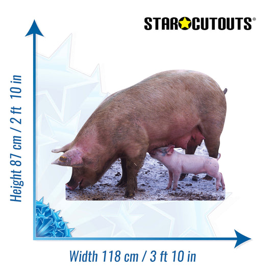 Pig and Piglet British Countryside and Farm Theme Animal Cardboard Cutout - mycardboardcutout