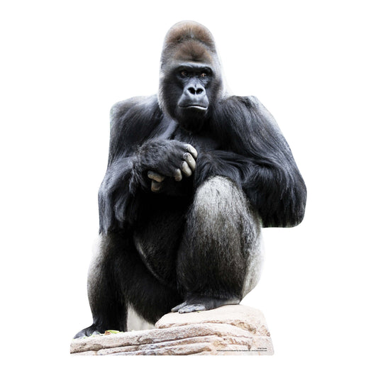 Gorilla Jungle Safari Theme Animal Cardboard Cutout - mycardboardcutout