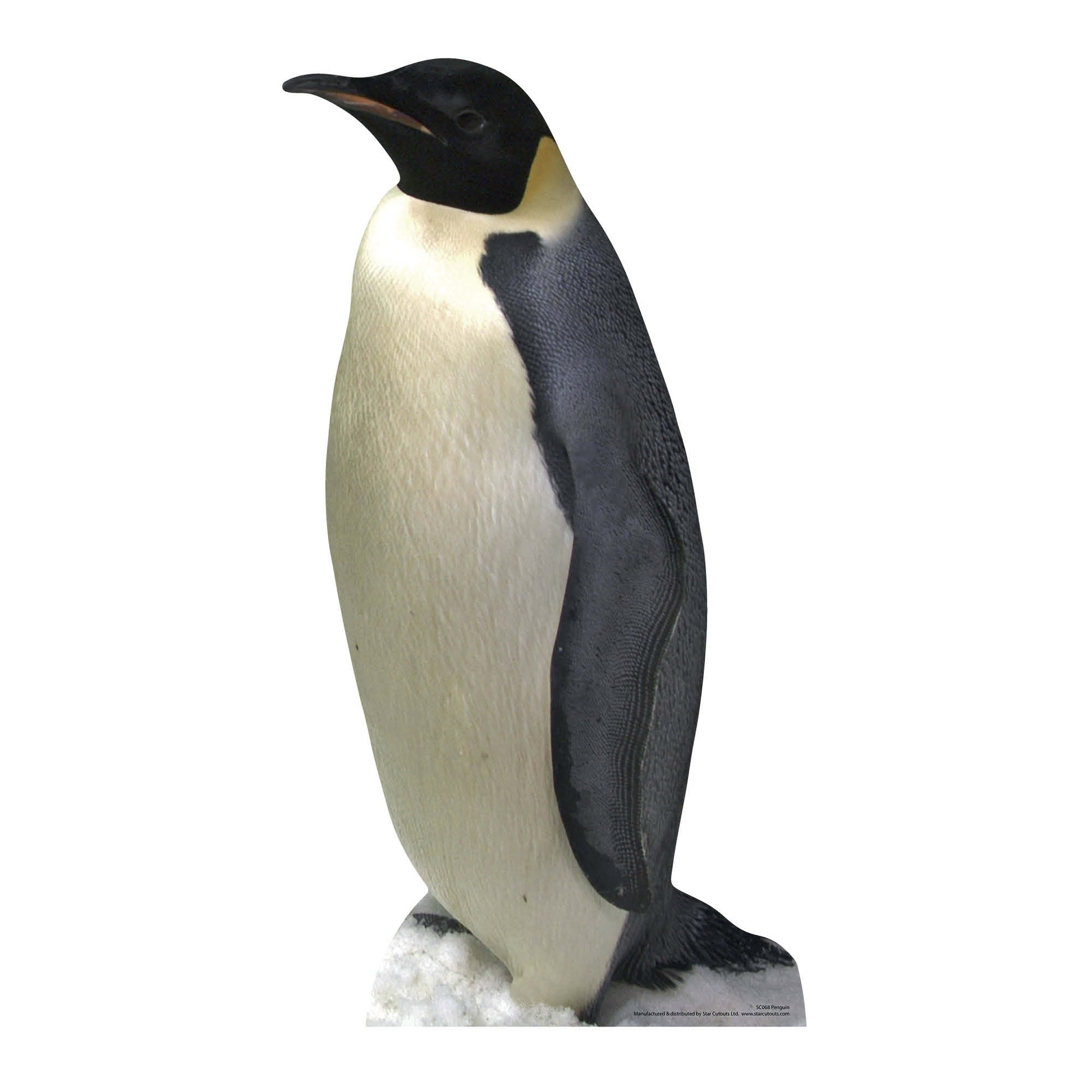 Penguin Wildlife Theme Animal Cardboard Cutout - mycardboardcutout